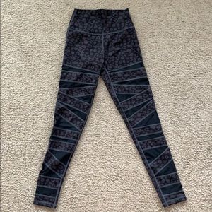 Til You Collapse Effortless Ascend Leopard